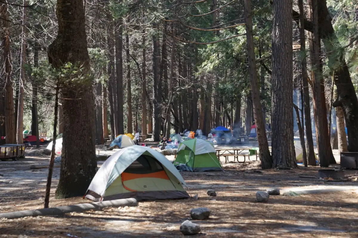 Tents set up among tall trees at Camp 4 campground in Yosemite Valley